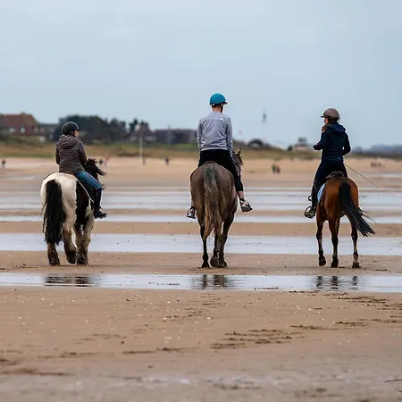 Apartamento Cathy Duplex Plein Sud Vue Port Avec Piscine Interieure Chauffee