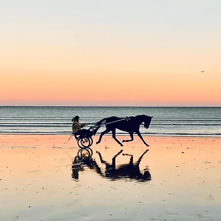 Cathy Duplex Plein Sud Vue Port Avec Piscine Interieure Chauffee *