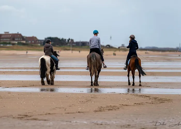 公寓 Cathy Duplex Plein Sud Vue Port Avec Piscine Interieure Chauffee