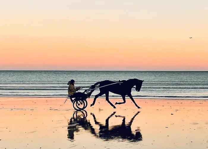 Cathy Duplex Plein Sud Vue Port Avec Piscine Interieure Chauffee *